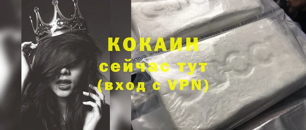 прущие грибы Аркадак