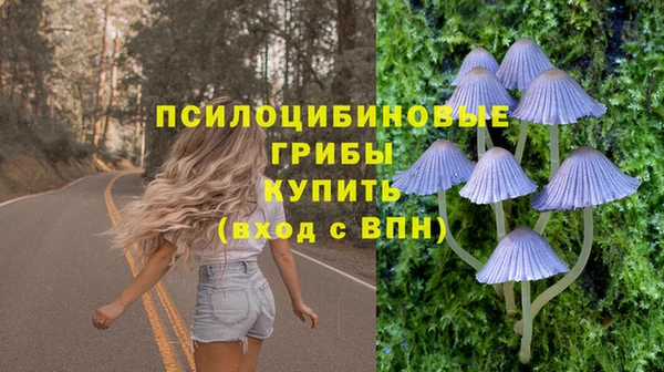 мяу мяу мука Семилуки
