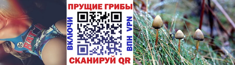 Галлюциногенные грибы прущие грибы  Октябрьский 